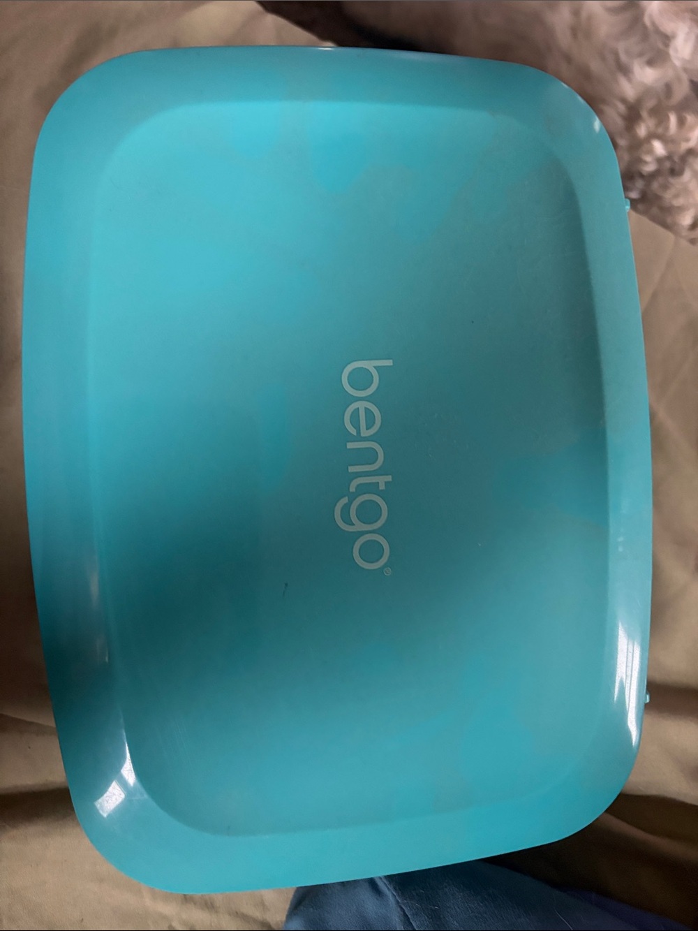 Bentgo lunch box